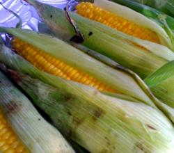 Grilled corn